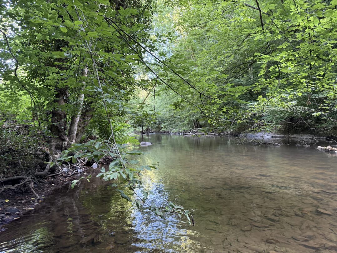 Carrousel - L'Émeraude du Périgord